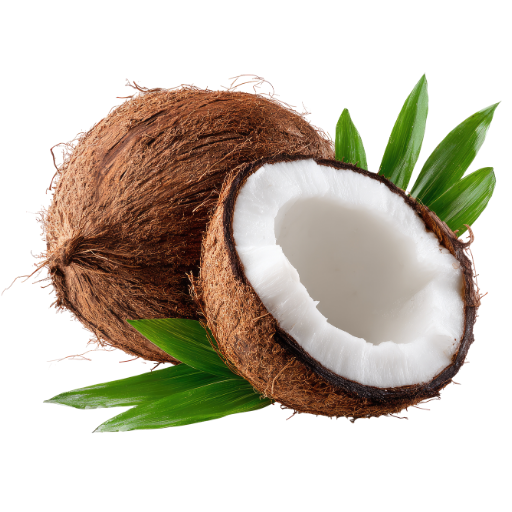 Kelapa